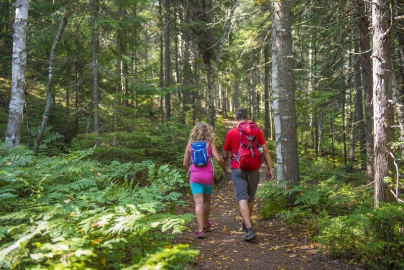 From Montreal: Mont-Tremblant National Park Hiking Day Trip - Who Will Love This Experience?