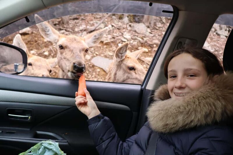 From Montreal: Omega Park Wildlife Safari Calling Sounds - Final Words