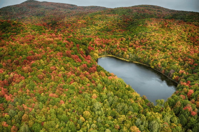 From Montreal: Scenic Montérégie Helicopter Tour - Authentic Reviews and What Travelers Say
