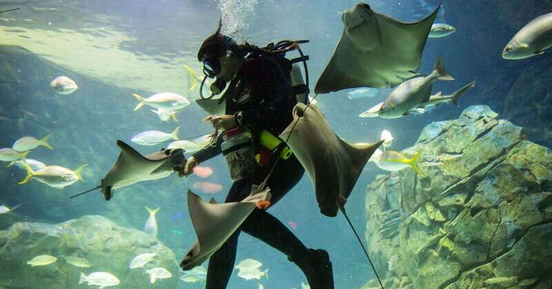 From Montreal: Toronto, Niagara Falls & 1000 Islands Tour - Who Will Love This Tour?