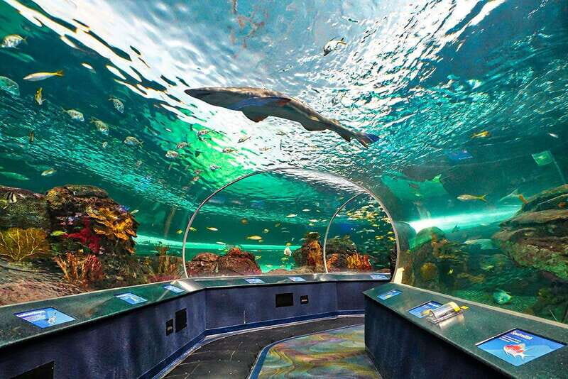 From Montreal: Toronto, Niagara Falls & 1000 Islands Tour - FAQ