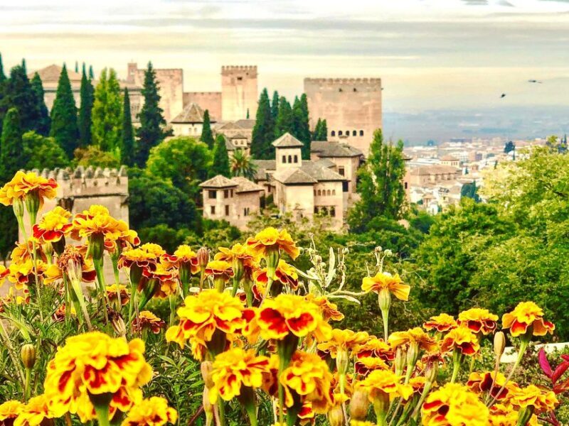 From Motril: Full-Day Private Tour of Alhambra - Analyzing the Value: Is It Worth It?