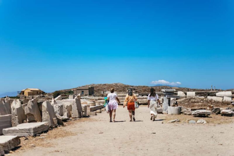 From Mykonos: Cruise to Delos and Rhenia with Lunch - Final Thoughts