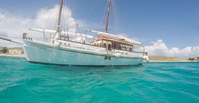 From Mykonos: Delos & Rhenia Islands Half-Day Trip by Boat - An In-Depth Look at the Tour