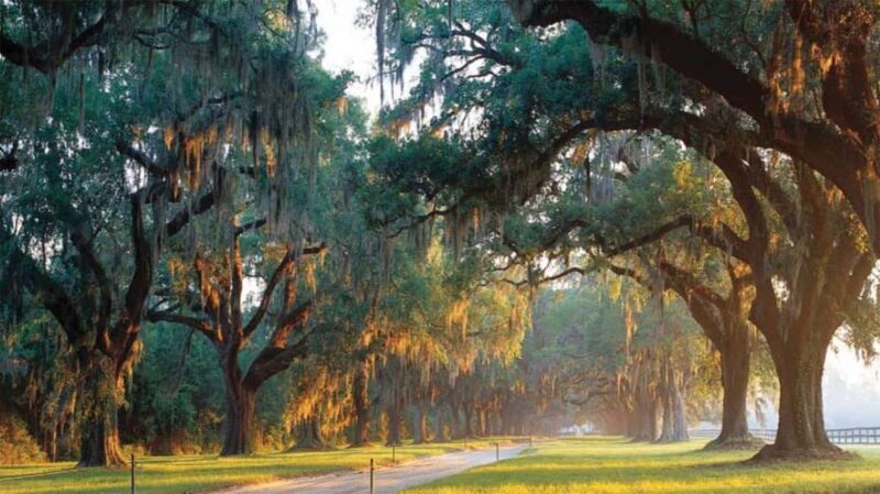 From Myrtle Beach: Charleston Day Trip, Boone Hall & Cruise - A Closer Look at the Itinerary