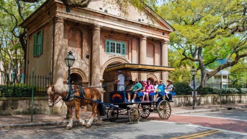 From Myrtle Beach: Charleston Day Trip, Boone Hall & Cruise - What Travelers Are Saying