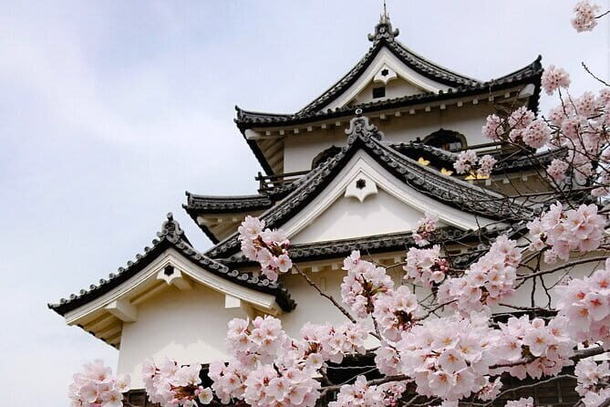 From Nagoya: Castles and Canals in Hikone and Omi Hachiman - Practical Details: What to Expect