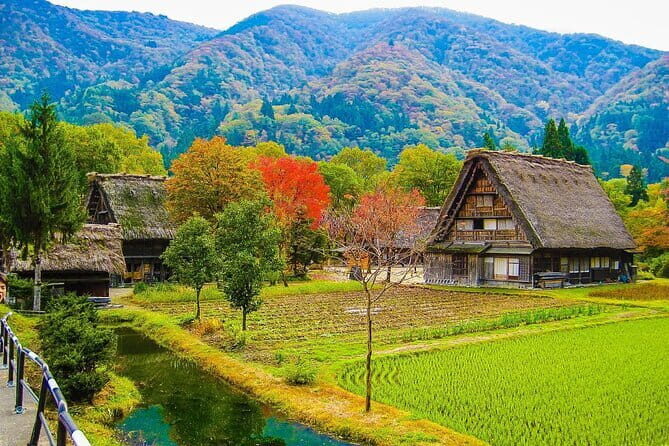 From Nagoya: Castles and Canals in Hikone and Omi Hachiman - FAQ