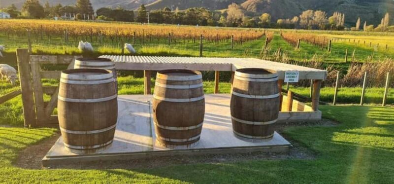 From Napier: Hawke's Bay Small Group Wine Capita Tour - Authentic Experiences and Guest Praise