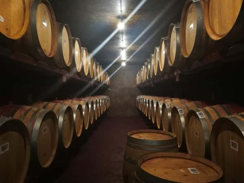 From Napier: Hawke's Bay Small Group Wine Capita Tour - The Sum Up