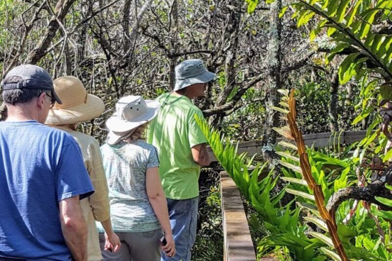 From Naples: 10,000 Islands Boat Trip & Everglades Walk! - Who Would Love This Tour?