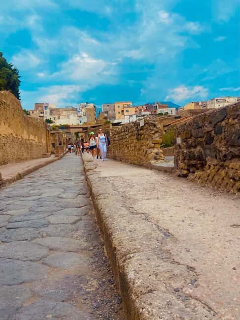 From Naples: Explore Herculaneum Ruins by bus - Who Should Consider This Tour?