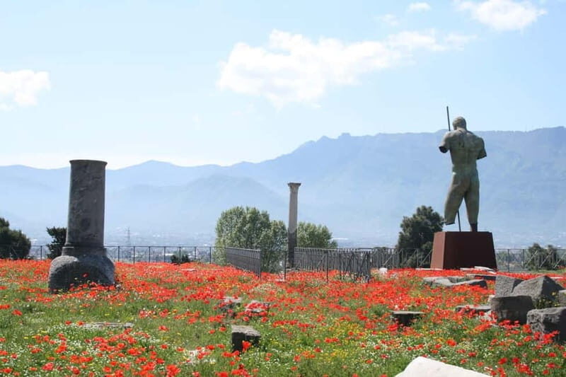 From Naples: Explore Pompeii and Vesuvius by bus - Authentic Experiences and Highlights