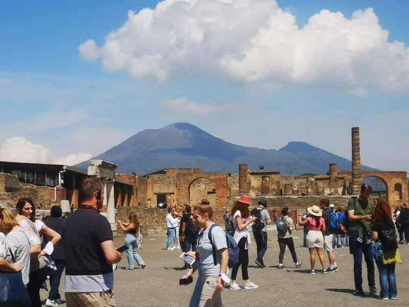 From Naples: Explore Pompeii and Vesuvius by bus - Who Will Love This Tour?