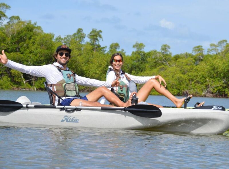 From Naples, FL: Marco Island Mangroves Kayak or Paddle Tour - From Naples, FL: Marco Island Mangroves Kayak or Paddle Tour