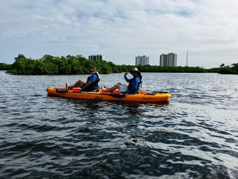 From Naples, FL: Marco Island Mangroves Kayak or Paddle Tour - Who This Tour Is Best For