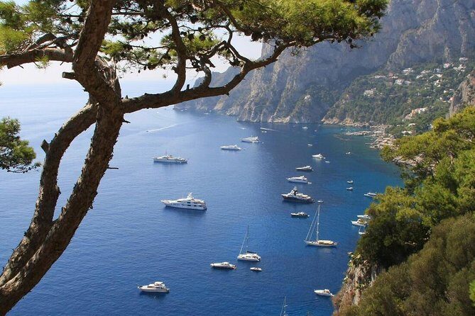 From Naples: Full-Day Capri Island and Blue Grotto Tour - In The Sum Up