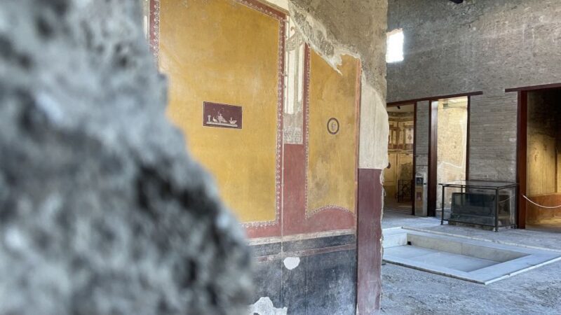 From Naples: Pompeii Guided Tour with Skip-the-Line Tickets - Final Thoughts