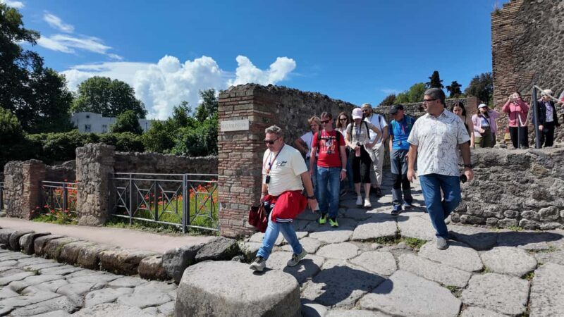 From Naples Port: Pompeii Guided Walking tour or Audioguide - The Site: What You’ll See and Experience