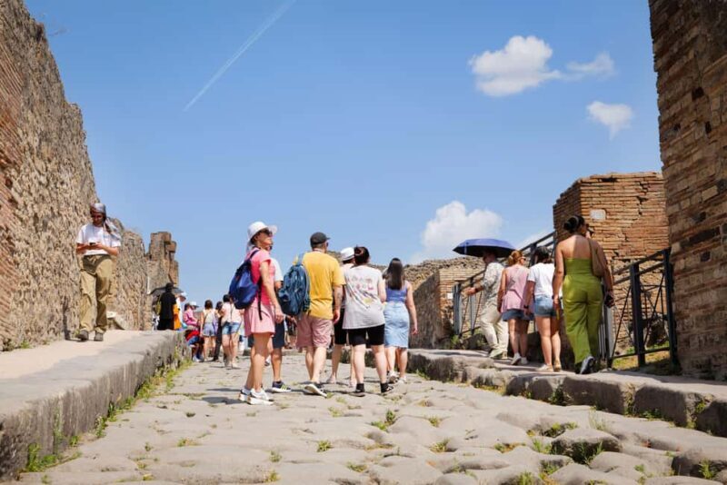 From Naples Port: Pompeii Guided Walking tour or Audioguide - Practical Details and Tips