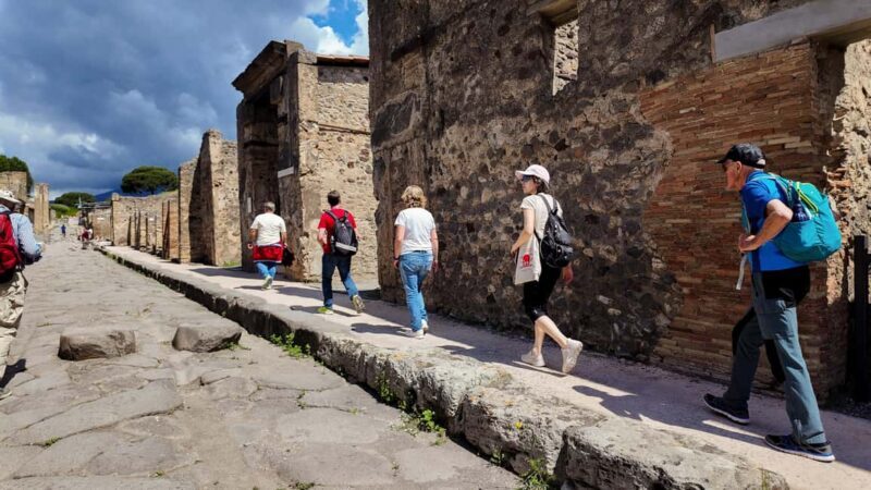 From Naples Port: Pompeii Guided Walking tour or Audioguide - Review Summary: Who Will Love This Tour?