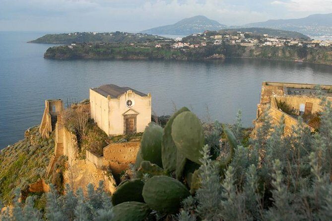 From Naples: Procida Island Day Trip with Lunch - Exploring Procida: What to Expect