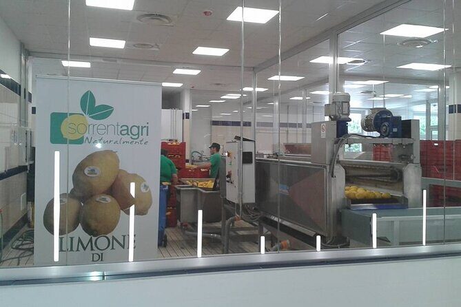 From Naples to Sorrento, Positano, Amalfi and Ravello Tour - Who Would Love This Tour?