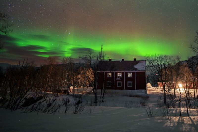 From Narvik: The Northern Lights Arctic Train Guided Tour - An In-Depth Look at the Experience
