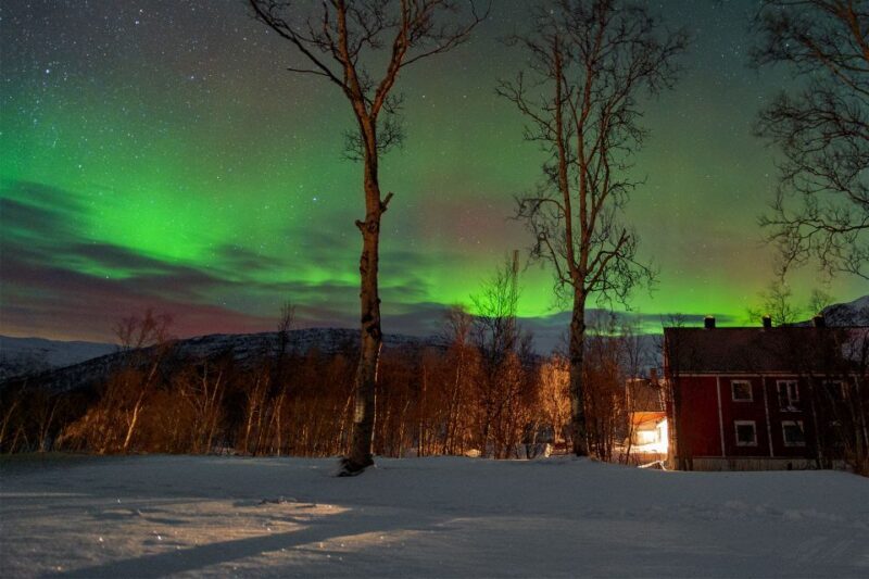 From Narvik: The Northern Lights Arctic Train Guided Tour - Final Thoughts