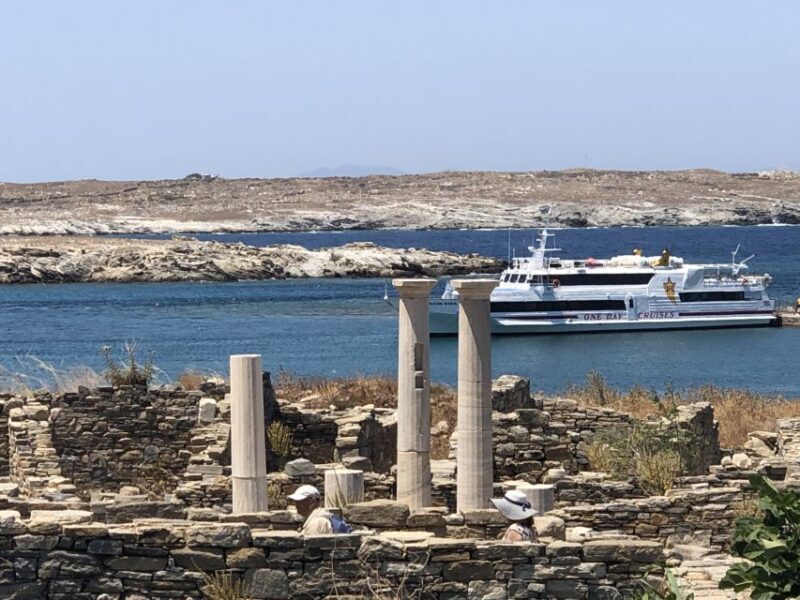 From Naxos: Delos and Mykonos Day Trip with Licensed Guide - Key Points