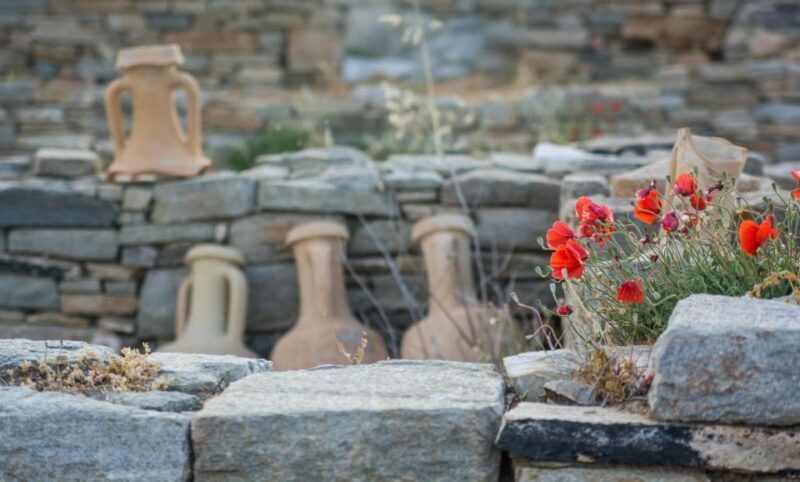 From Naxos: Delos and Mykonos Day Trip with Licensed Guide - Who Would Love This Tour?