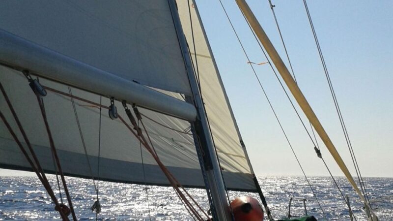 From Neos Marmaras: Halkidiki Islets and Coves Cruise - Who Should Consider This Tour?