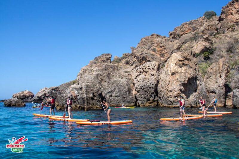 From Nerja: Guided Paddle Surf Cliffs and Maro Waterfall - Key Points
