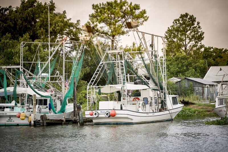 From New Orleans: Airboat Adventure Tour with Transportation - Key Points