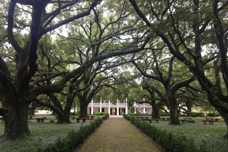 From New Orleans: Oak Alley and Laura Plantation Guided Tour - FAQ