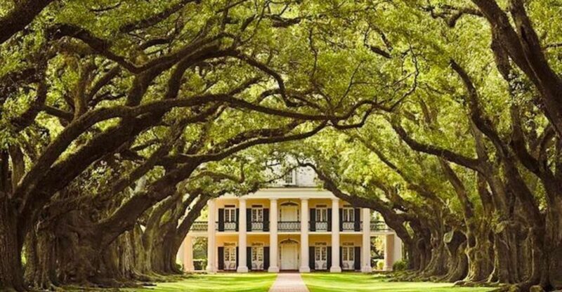 From New Orleans: Oak Alley or Laura Plantation Tour - Discover Louisianas Plantations: Oak Alley or Laura from New Orleans