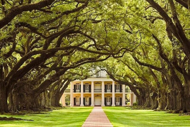From New Orleans: Oak Alley or Laura Plantation Tour - How Do Reviews Shape the Experience?