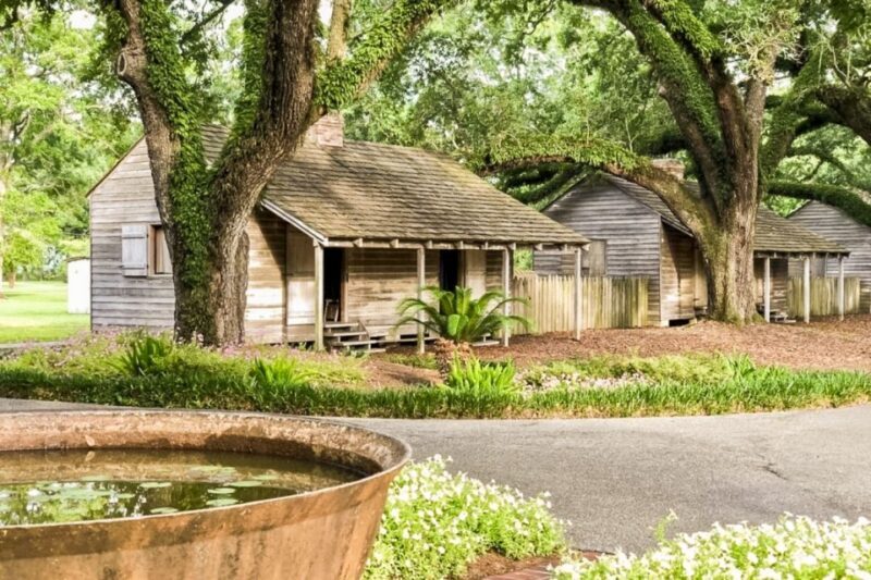 From New Orleans: Oak Alley Plantation Tour - Exploring the Oak Alley Plantation Tour from New Orleans: A Practical, Authentic Experience