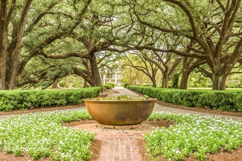 From New Orleans: Oak Alley Plantation Tour - What Makes Oak Alley Stand Out?