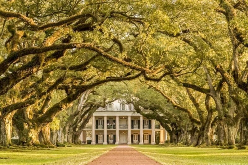 From New Orleans: Oak Alley Plantation Tour - Who Is This Tour Best For?