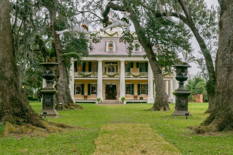 From New Orleans: Swamp Airboat, 2 Plantation Tours & Lunch - What Makes This Tour Stand Out?