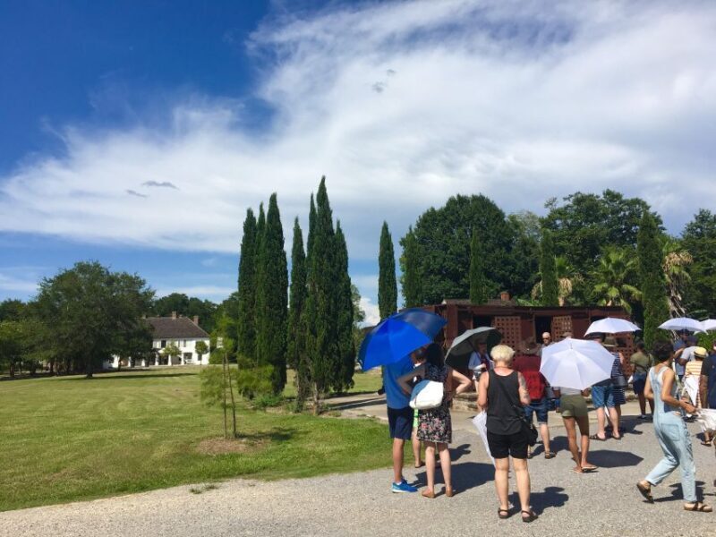 From New Orleans: Whitney and Laura Guided Plantation Tour - Key Points