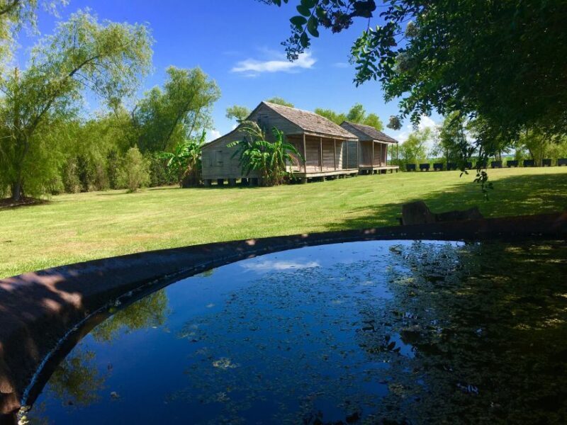From New Orleans: Whitney and Laura Guided Plantation Tour - Who Is This Tour Best For?