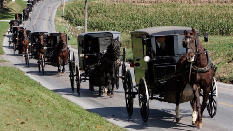 From New York City: Philadelphia & Amish Community Day Trip - Time for a Quick Break and Photos