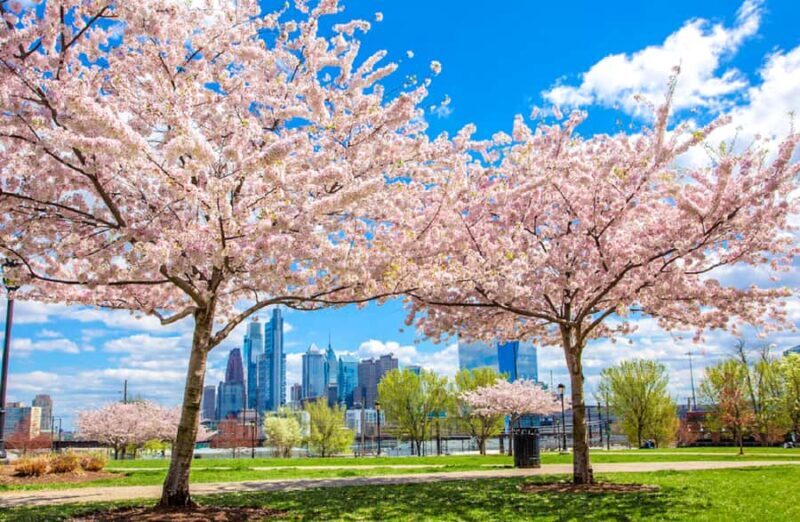 From New York: Philadelphia Cherry Blossom 1-Day Trip - Key Points