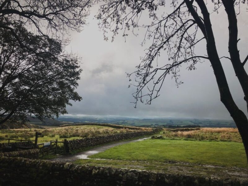 From Newcastle: Hadrian's Wall Day Tour - An Overview of the Tour Experience