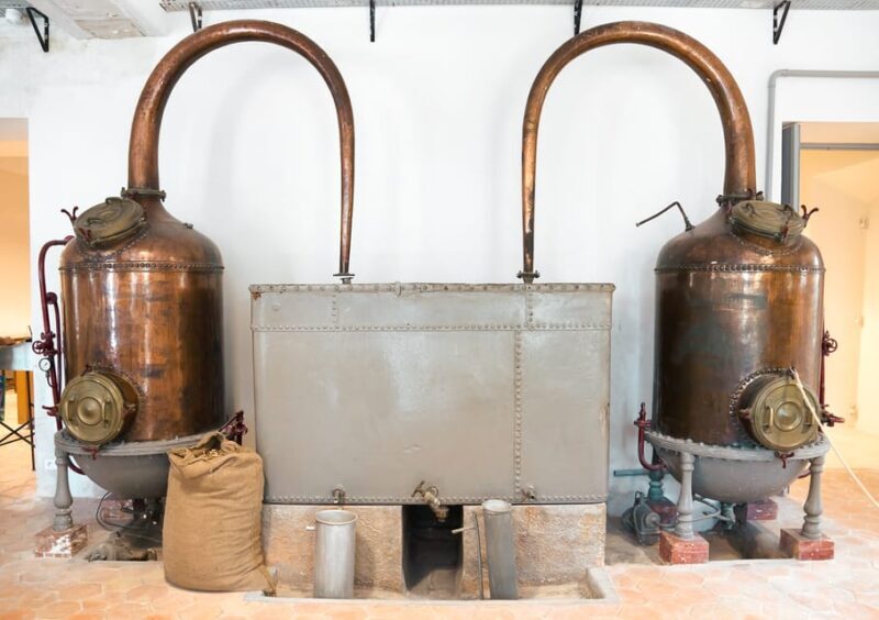 From Nice: Eze, Monaco, and Monte Carlo Half-Day Trip - Practical Details and Tips