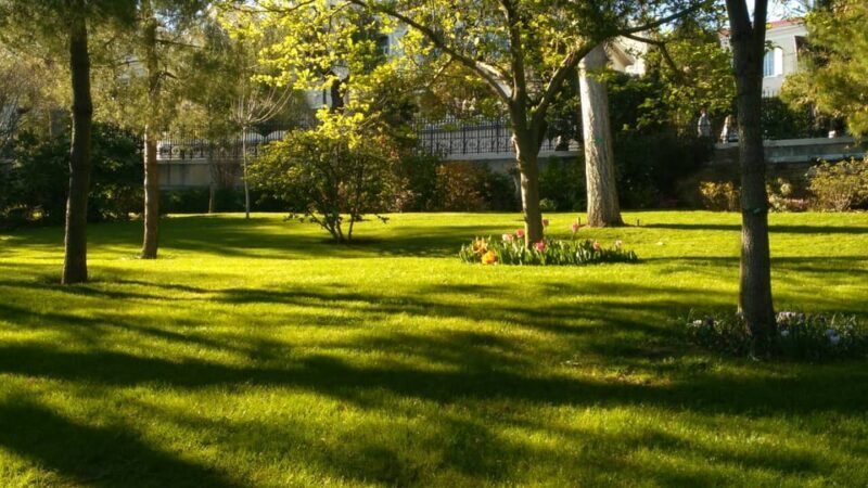 From Nice: Eze, Monaco & Monte Carlo Half-Day Tour - Who Should Consider This Tour?