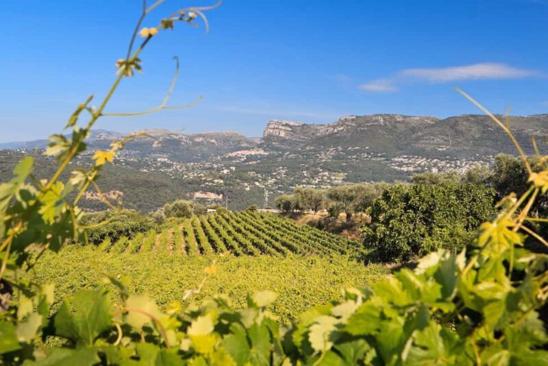 From Nice: Half-Day Wine Tour in the Bellet Wine Region - Frequently Asked Questions