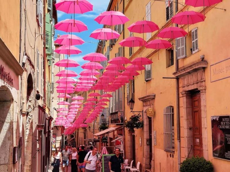 From Nice or Cannes: Private Guided Tour to Grasse & St-Paul - Exploring the French Riviera in a Day